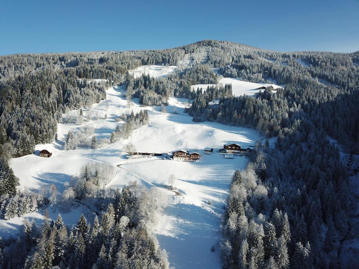 Pension Bergbauernhof Irxner Pichl-Preunegg Bagian luar foto